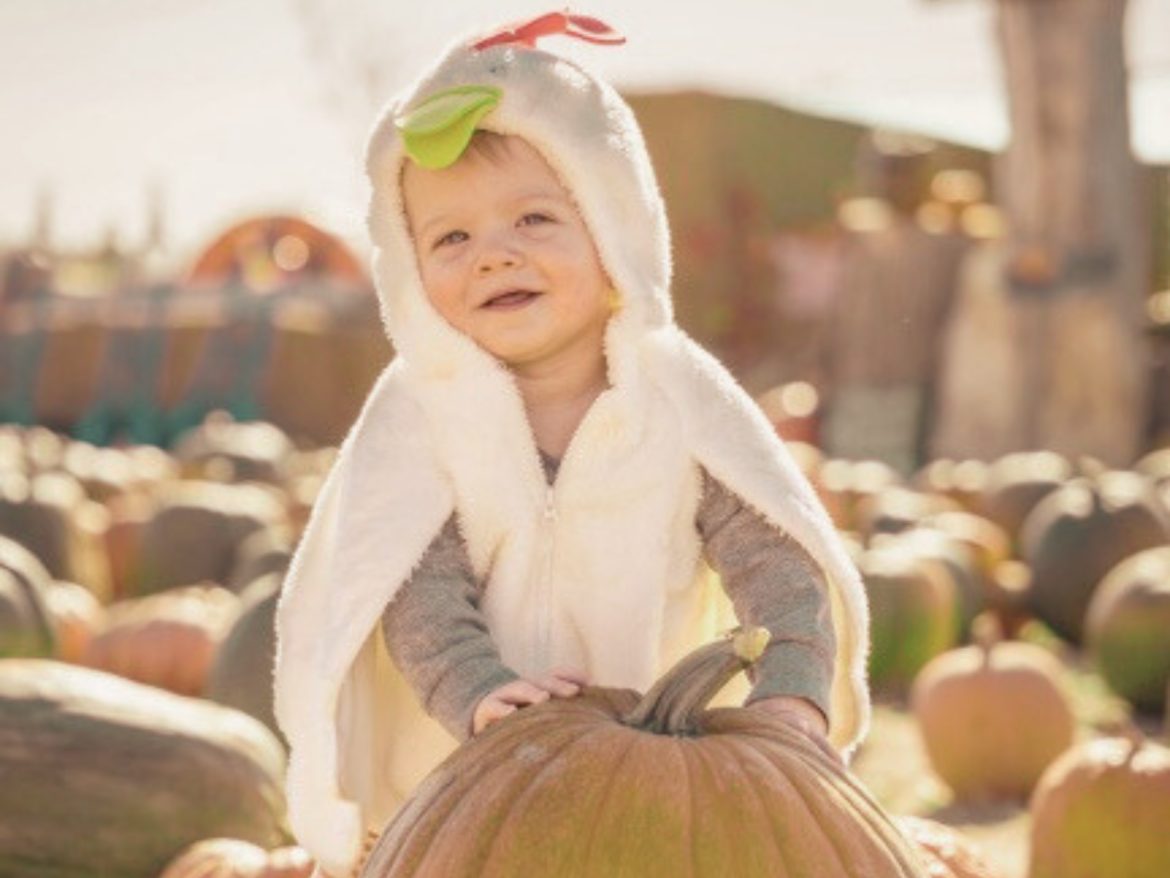 10 Simple Fall Baby Photo Ideas