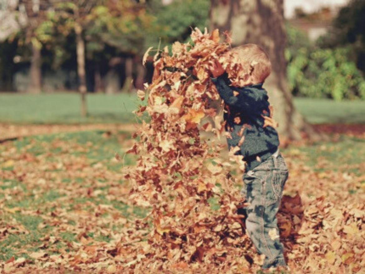 20 Family Activities for an Exciting Fall